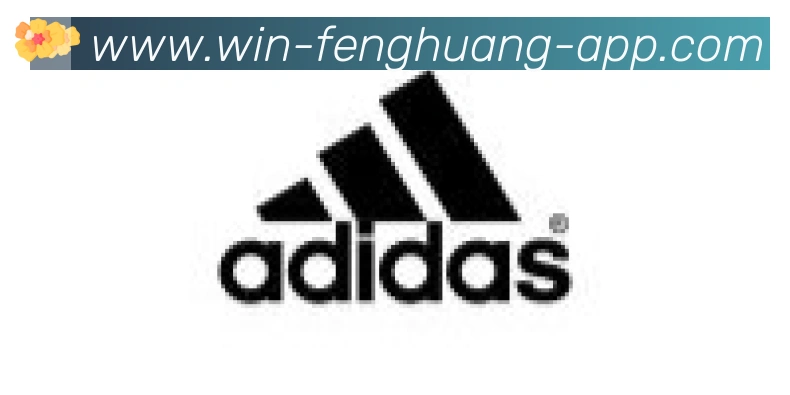 凤凰体育合作伙伴