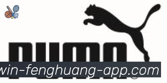 凤凰体育合作伙伴